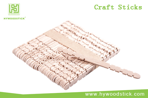 Craft sticks